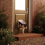 Πόρτα απλή μικρή λευκή 147mm (πλάτος ώμων) 19x16cm σπιτακια-πορτακια Pet Shop Καλαματα