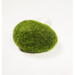 Moss Ball small διακοσμητικά ενυδρείου Pet Shop Καλαματα