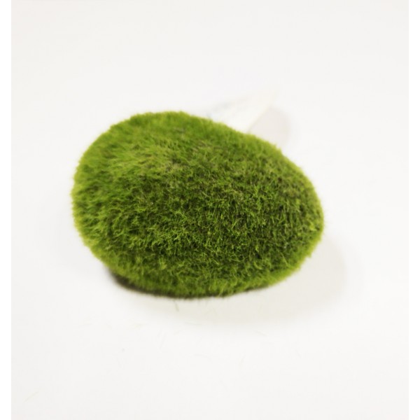 Moss Ball small διακοσμητικά ενυδρείου Pet Shop Καλαματα