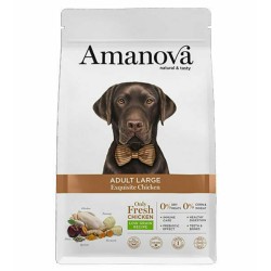 Amanova Adult Large 12kg Ξηρά Τροφή για Ενήλικους Σκύλους Μεγαλόσωμων Φυλών με Λίγα Σιτηρά με Κοτόπουλο