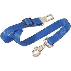Προστασια Σκυλου - ΖΏΝΗ ΑΣΦΑΛΕΙΑΣ 2,5X70CM Pet Shop Καλαματα